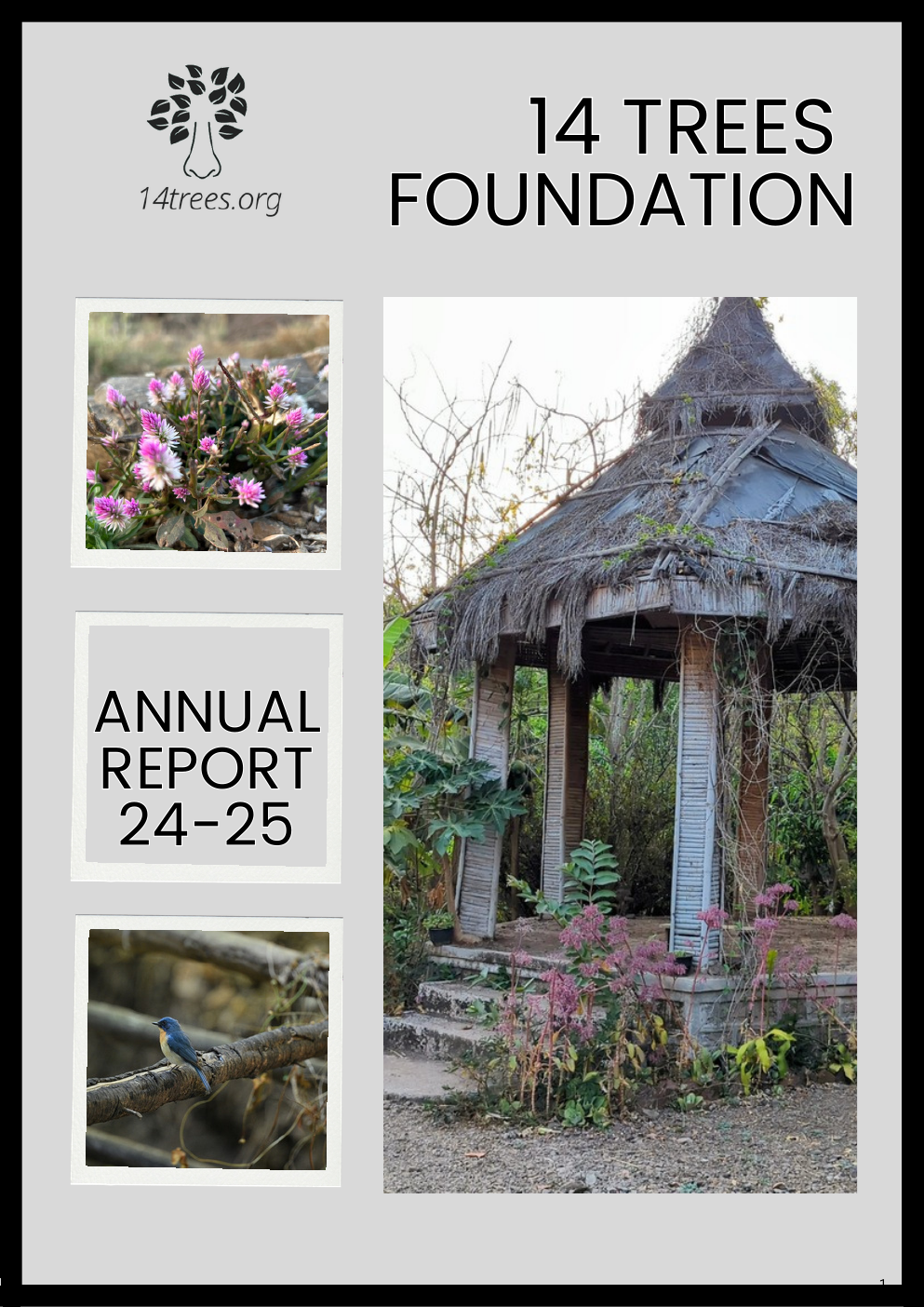 Annual Activity Report - FY 2024-25