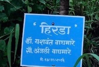 Prof. Y. R. Waghmare1