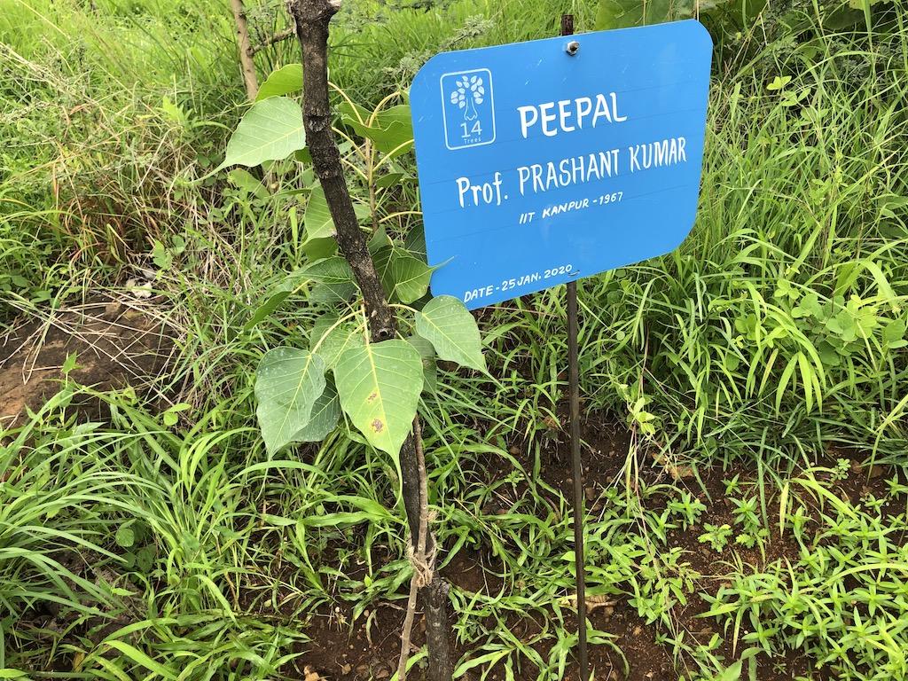 Prof. Prashant Kumar2